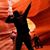 Heidi Herder's profile image