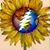 Tanya Missureli's profile image