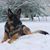 Sue Domagalski's profile image