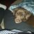 Melanie Wester's profile image