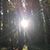 Jennifer Lee Seymour's profile image
