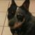 Scott Enyart's profile image