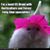 Ellen Grace Carter's profile image