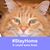 Joy O'Malley Browning's profile image