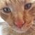 Teresa D Myers's profile image