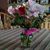 Amy Studebaker's profile image
