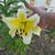 Tammy Kolczak Rogina's profile image