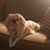 Brenda Acker's profile image