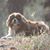 Debbie Lund's profile image