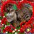 Cindy Crocket Farley's profile image