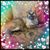 Jeanne DeCosta's profile image