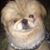 Deborah Dirsek's profile image
