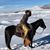 Brad Haug's profile image