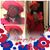 Lynette D. Wallace's profile image