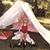 Kelly Ackerman's profile image