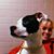 Lisa Garesché Marks's profile image