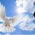 Juan Isidro Garcia's profile image