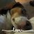 Debbie Meck Sanborn's profile image