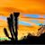 Patricia Dueck's profile image