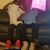 Nafisway Goyed's profile image