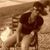 Keunna LivinLife Hollis's profile image