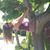 Julie Lamm's profile image