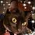 ShelbyJo Lynch Roberson's profile image