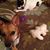 Nancy Sorensen's profile image