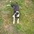 Kevin Ramon O'Neal's profile image
