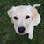 Jeff Zuech's profile image