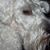 Woody Twoshoes's profile image