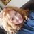 Sheree Dellinger Daily's profile image