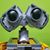 Matthew Bride's profile image