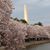 Elizabeth Shurts Girard's profile image