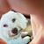 Linda Miller Taylor's profile image