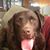 Robert Dillard's profile image