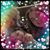 Stephanie Robinson's profile image