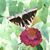 Matthew Garrett's profile image