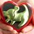 Tomas Rodriguez's profile image