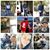 Chris Ellis Coggins's profile image