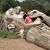 Tina Alford Oda's profile image