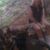 Helen Peachie Pauley's profile image