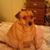 Pat Hunter's profile image
