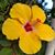 Christine Bowen-Brattin's profile image
