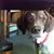 Judi Hebert's profile image