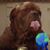 Jeffery Scott Andersen's profile image