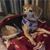 Bill Hallinan's profile image