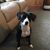 Barbara Zeller Rutledge's profile image
