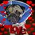 Robert Villanueva's profile image