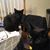 Stoney Larsen's profile image